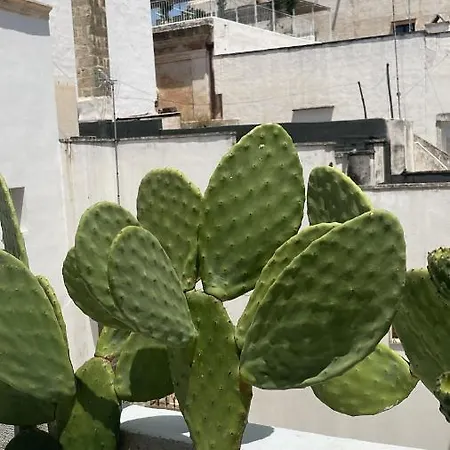 Mambo Salentino Matino